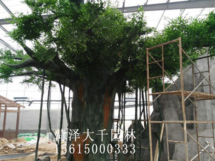 點擊查看詳細信息<br>標題：假樹 閱讀次數：1201