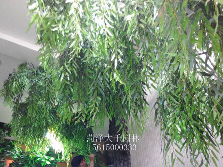 點擊查看詳細信息<br>標題：假樹 閱讀次數：1259