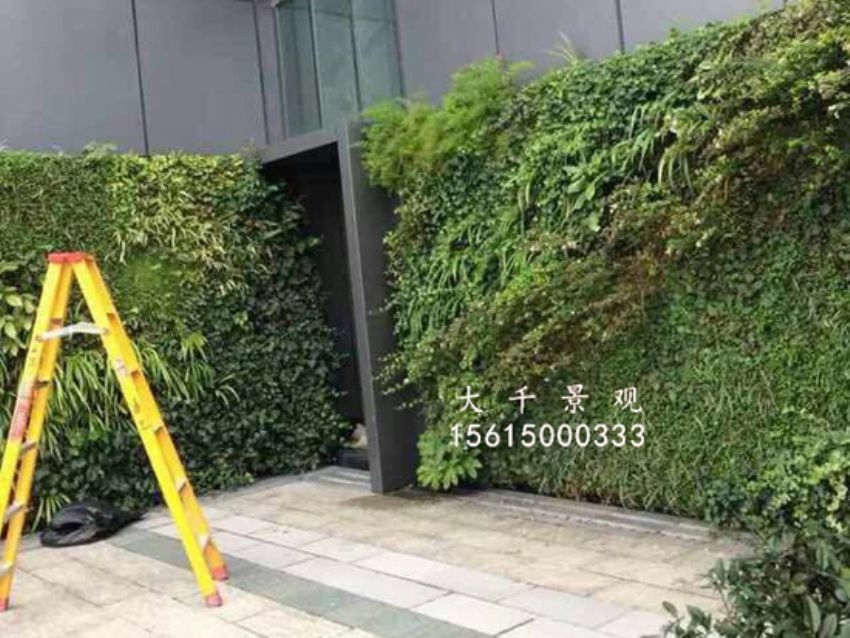 點擊查看詳細信息<br>標題：綠植墻 閱讀次數：1314