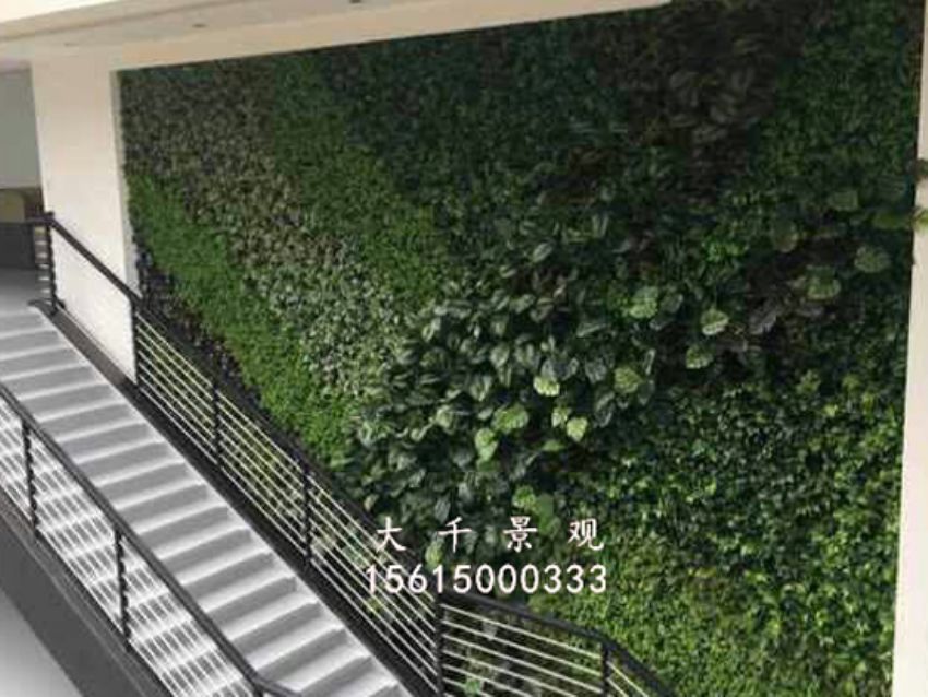 點擊查看詳細信息<br>標題：綠植墻 閱讀次數：1469
