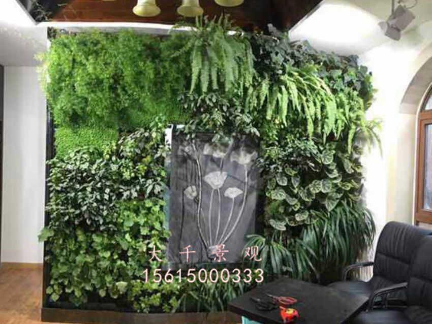點擊查看詳細信息<br>標題：綠植墻 閱讀次數：1502