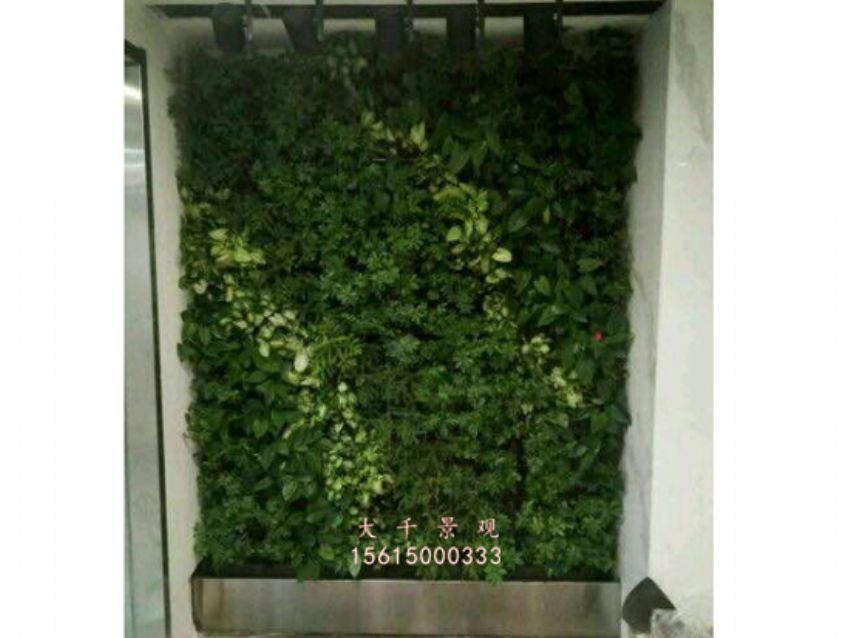 點擊查看詳細信息<br>標題：綠植墻 閱讀次數：1759