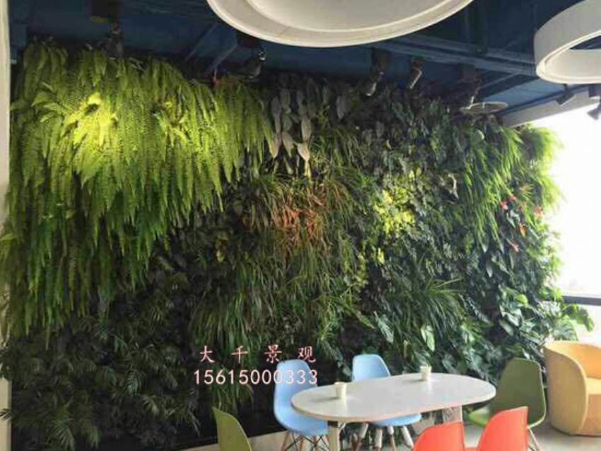 點擊查看詳細信息<br>標題：綠植墻 閱讀次數：1658