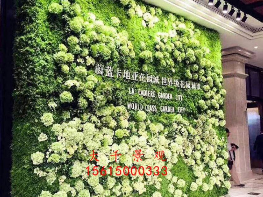 點擊查看詳細信息<br>標題：綠植墻 閱讀次數：1709