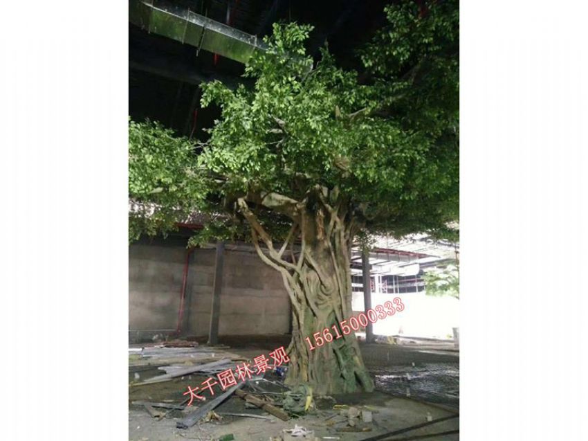 點(diǎn)擊查看詳細(xì)信息<br>標(biāo)題：假樹 閱讀次數(shù)：1764