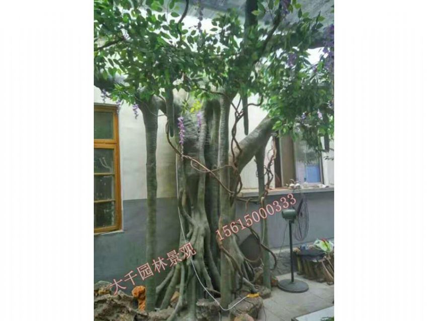 點(diǎn)擊查看詳細(xì)信息<br>標(biāo)題：假樹 閱讀次數(shù)：1664